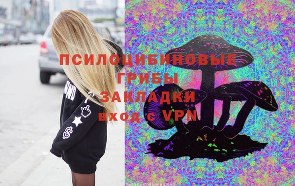 сатива Майский