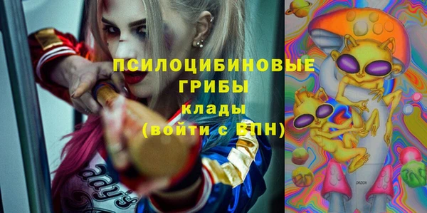 ешки Мегион