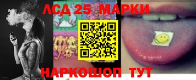молекула духа Берёзовский