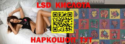 дмт Бийск