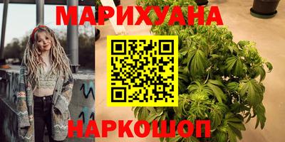 дмт Бийск