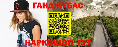 молекула духа Берёзовский