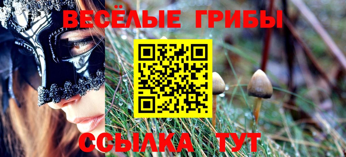 Галлюциногенные грибы мицелий Советский